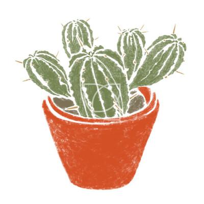 仙人掌和女头像图片大全