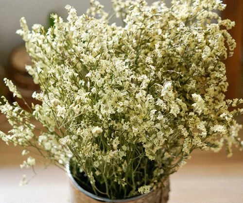 【aa级水晶草干花】 彩色原色真花风干配草花束家庭插花