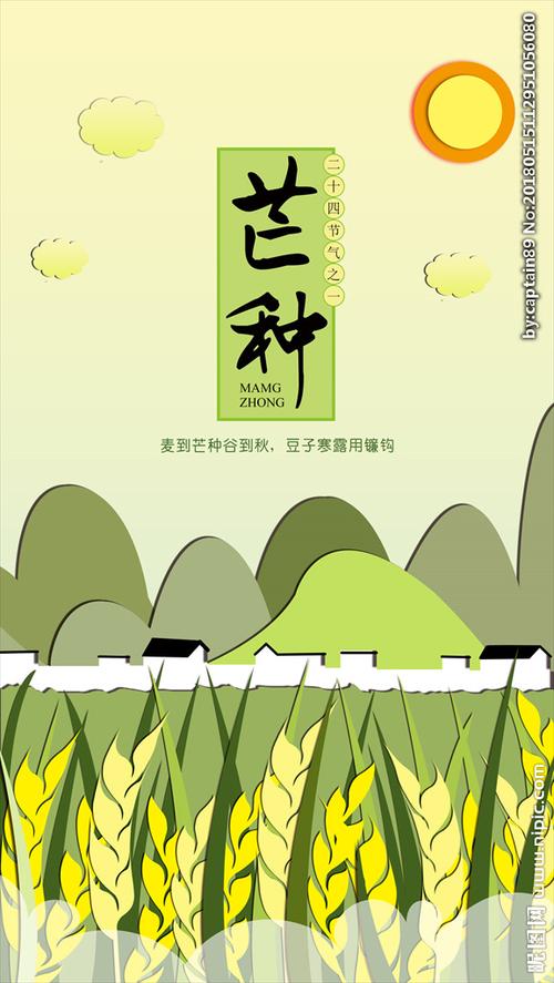 微立体纸片风芒种节气手机图图片