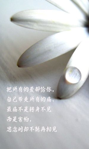 痛苦的思念,难过文字480×800手机壁纸图片下载