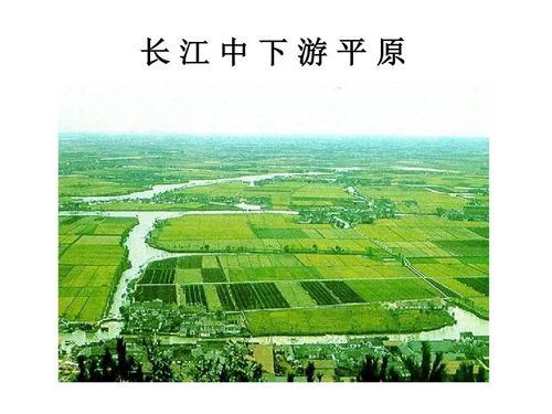 长江中下游平原手抄报 手抄报图片大全集