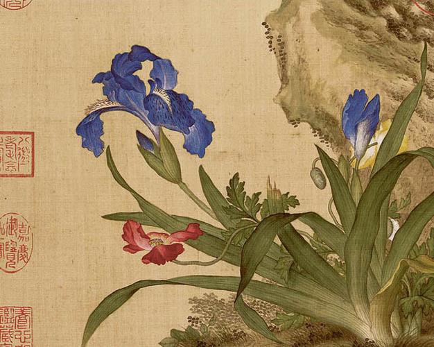 清 郎世宁 花鸟图册(十开)