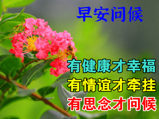 天气凉了,注意保暖;轻轻一声早,事事都美好!