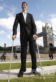 东部马尔丁镇的sultankosen为世界上最高的人,他的身高为8英尺1英寸(2