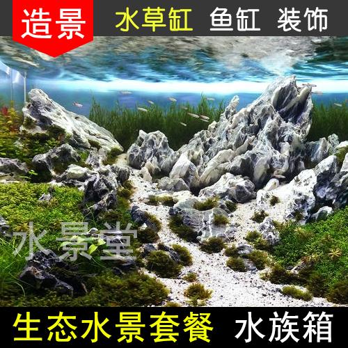 水草青龙石造景造景套餐钾肥花盆珊瑚莫斯仿真造景