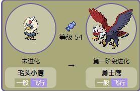 口袋妖怪白金光毛头小鹰怎么进化