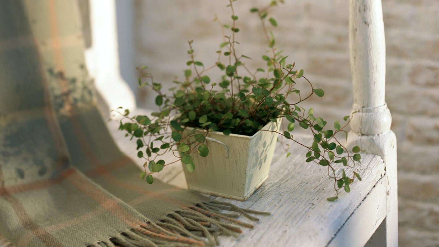 小清新家居静物简约风格唯美温馨高清壁纸图片大全