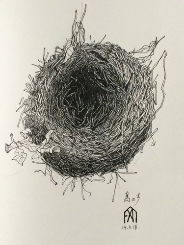 鸟巢编号:258720