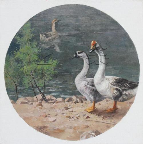 池塘边的鹅_油画_写实油画_候建国_原创油画_油画收藏