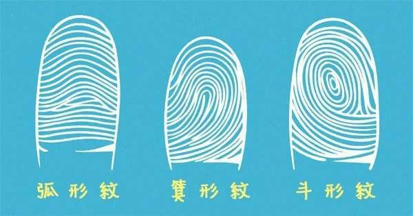 幼儿园小班科学探究——《有趣的指纹》西关社区幼儿园