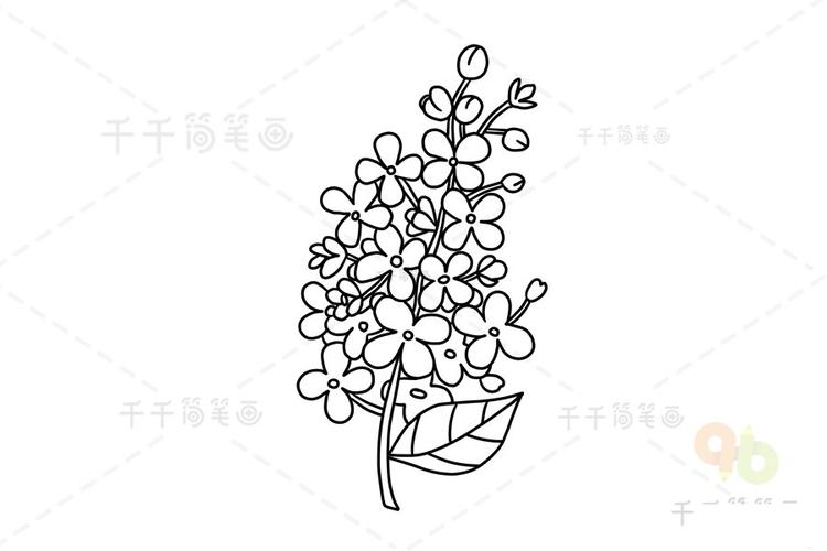花朵画法 丁香花简笔画