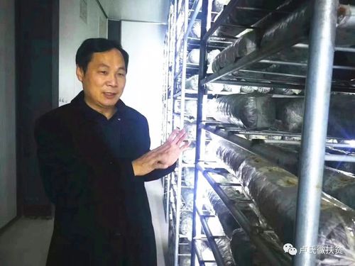 河南信念集团董事长叶传林奉献社会受好评