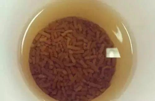 如果黑点是芝麻大小.当他们在面对爱情的时候.这顿早餐吃了等于没吃.