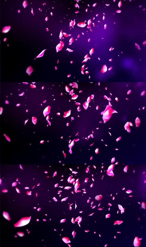 花瓣雨led视频1280x720_视图站_原创设计素材交流平台