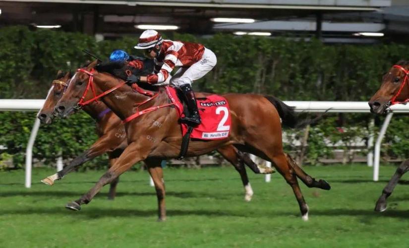 马术 骑马 赛马 960_582