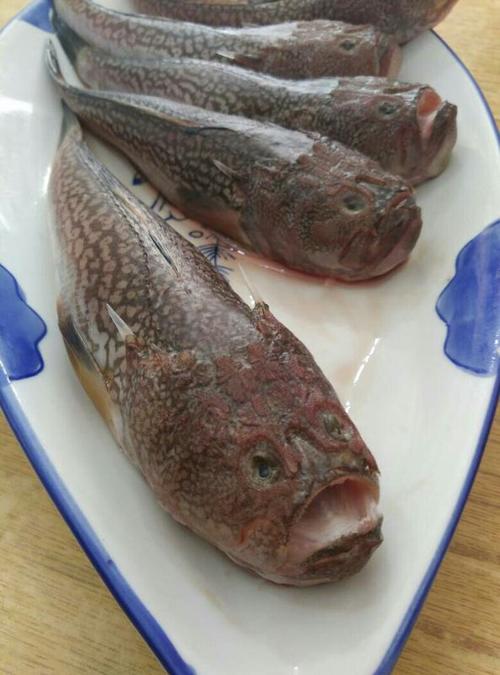 这是什么鱼,可以吃吗