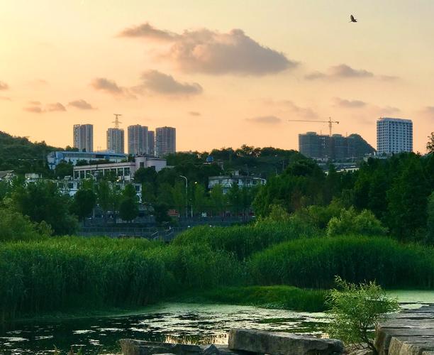 落晖洒满沙溪河