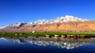 帕米尔旅游区温馨提示您,新疆旅游最新准入政策来啦