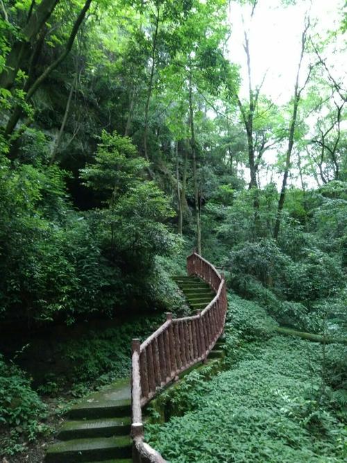 金城山森林公园