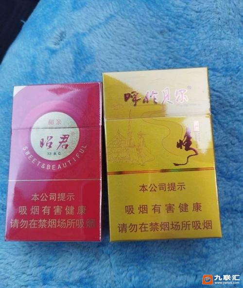 昭君和亲呼伦贝尔