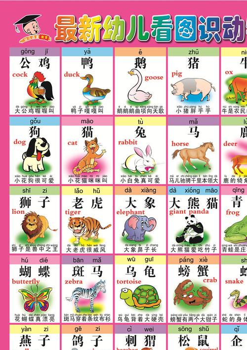 宝宝看图识字识物无声挂图 婴幼儿童早教启蒙科教图画批发