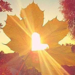 心言心语为你解析情感困惑