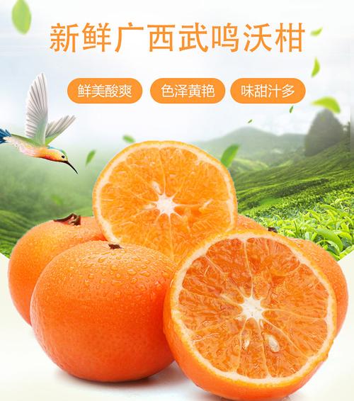 柑橘皇后比沙糖橘还甜10斤锐鲜园广西武鸣正宗沃柑