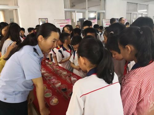 龙湖禁毒宣传进校园!蓬中华侨小学这样做