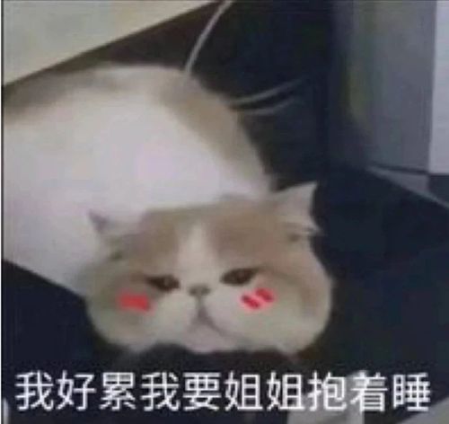 搞笑表情包图片:我好累需要姐姐抱着睡