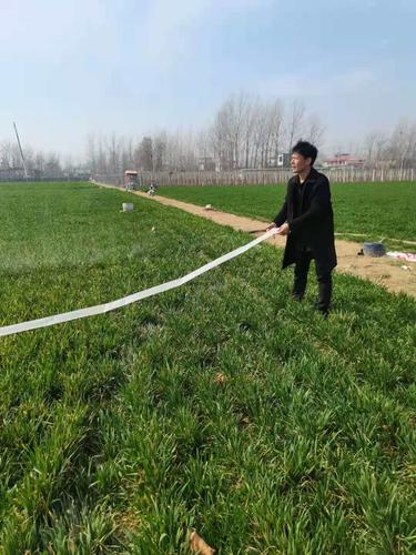 临颍:农民浇地忙