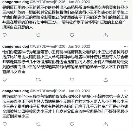 要杀死蔡英文,骂拜登是"中国狗",还经常遭王靖渝羞辱乃至被他情感背叛