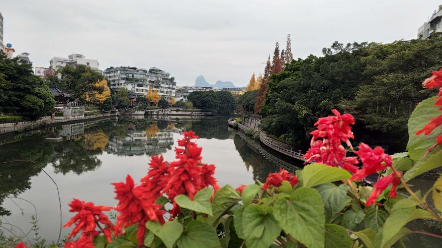 桂林桃花江市内段转转 想走桃花运啊