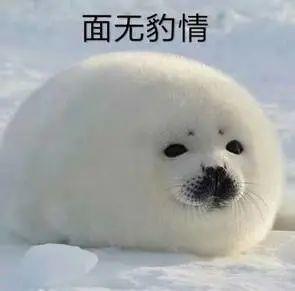 表情|面无表情表情包