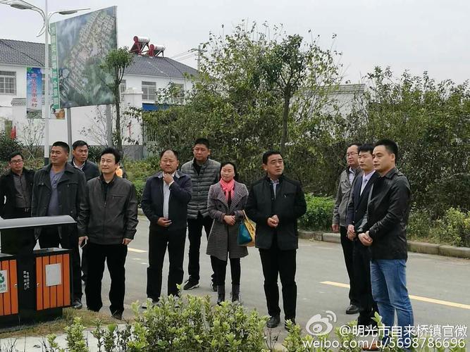 明光市自来桥镇官微