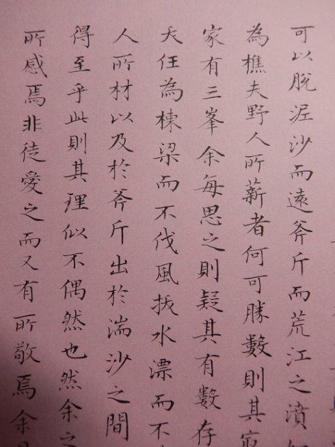 蝇头小楷 苏洵木假山记