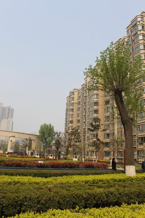 胖胖看房记第235期:高性价比 —华清 城