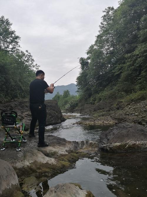 攻急流钓法 重铅杆尖抖动提杆