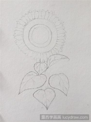 向日葵彩铅画教程