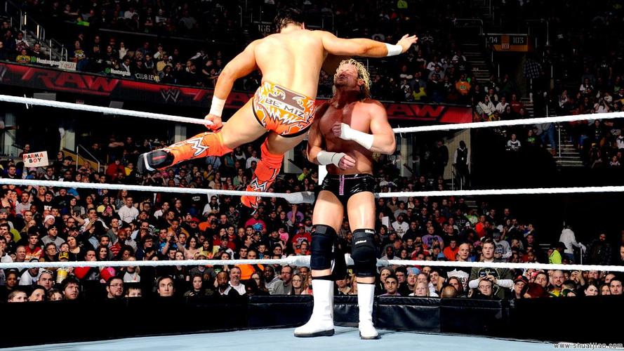 道夫·齐格勒 vs 米兹《raw 2014.01.28》