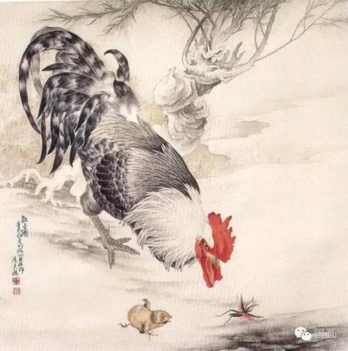 作者:冯英杰  芦花鸡的尾羽: 芦花鸡的翅羽: 芦花鸡的尾上复羽