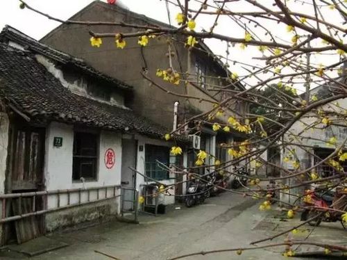 寒假,松江这几处地方让你家孩子变成"历史小达人".