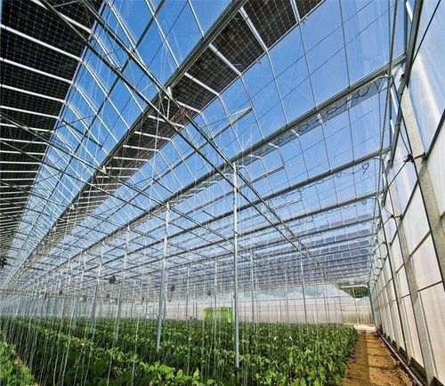 太阳能光伏大棚 工程玻璃温室大棚 太阳能新型日光温室