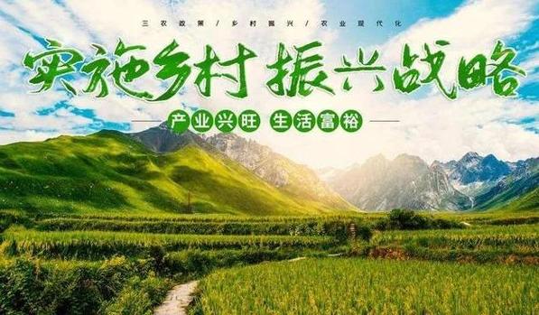 乡村振兴新模式:养猪产业一体化发展