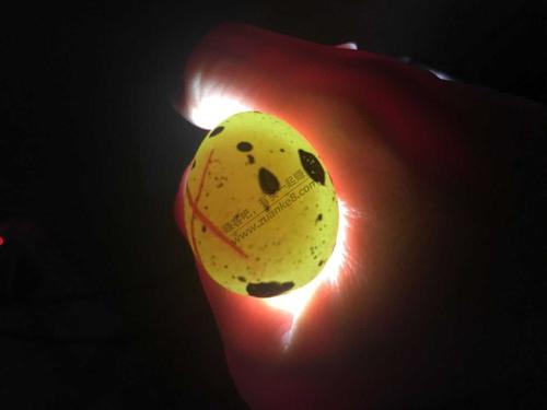 总共买了36个,到今天第八了,照了一下就剩5个感觉像受精蛋,附上图求