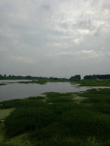 欢迎光临界首国家级两湾湿地公园
