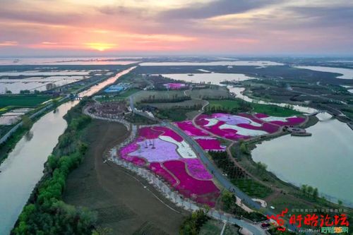 【中恒国旅】4月18日淮安白马湖一日游128元,送100个鸡蛋
