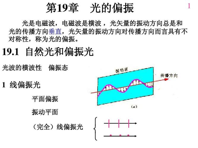 大物课件光的偏振
