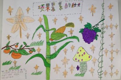 金秋硕果三年级手抄报 三年级手抄报