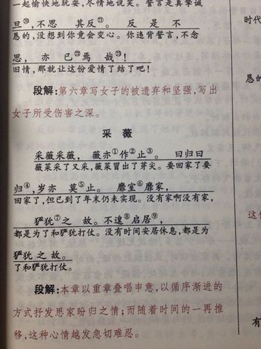 氓 采薇 翻译