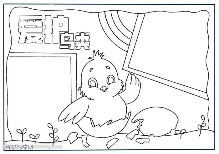 怎么画保护鸟类的手抄报